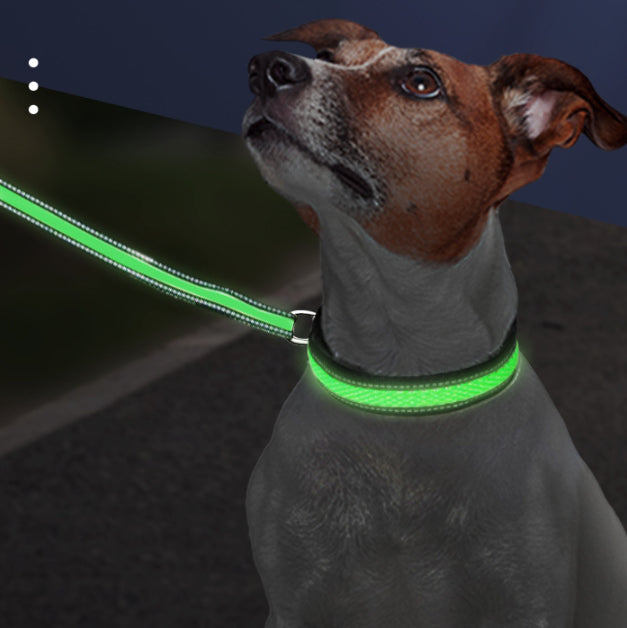 LED Leuchthalsband für Hunde, wasserdicht – Bild 2 | LuxeStyle