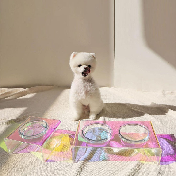 Regenbogen-Futternapf aus Acryl für kleine Hunde & Katzen – Bild 2 | LuxeStyle