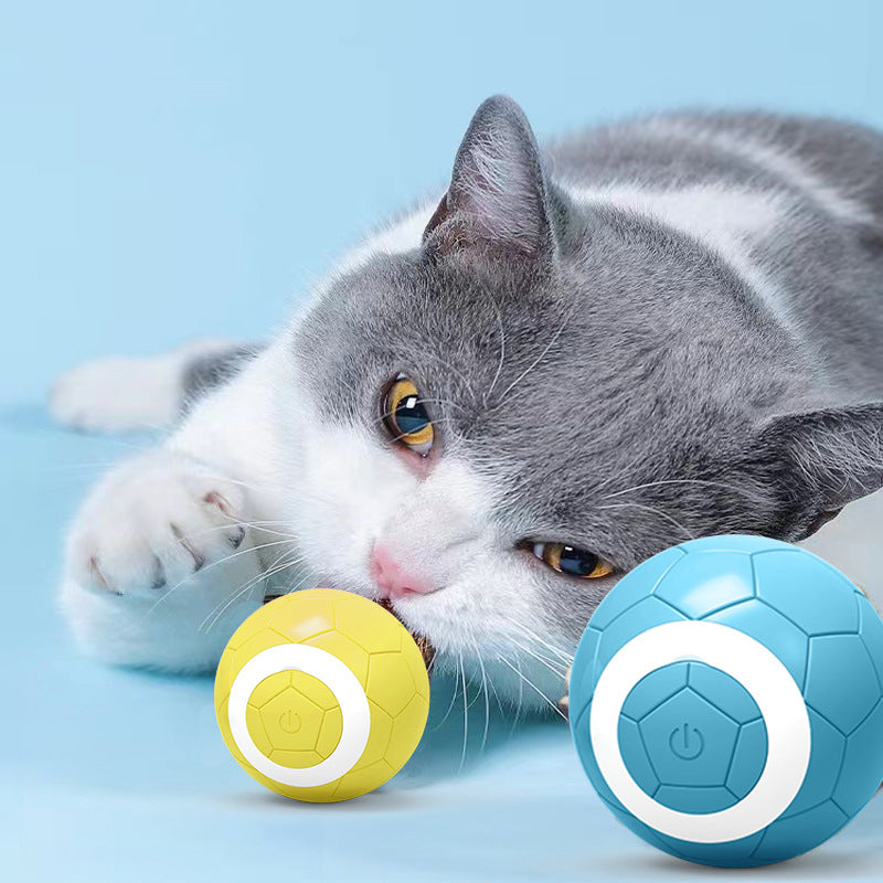 Elektrischer Spielball für Haustiere