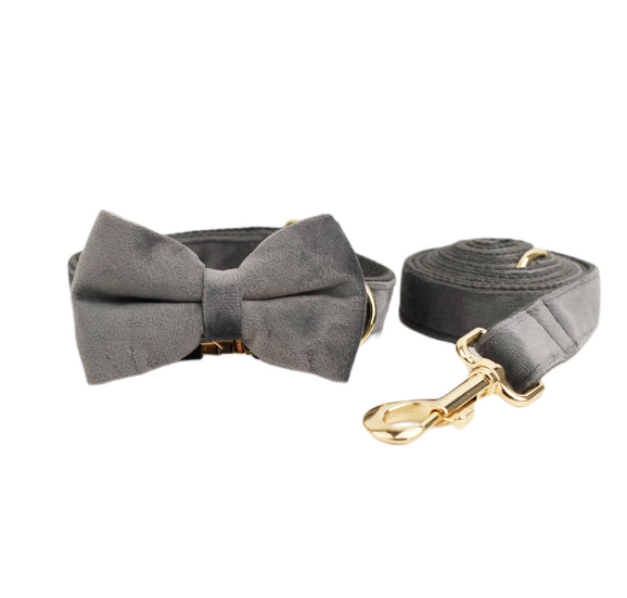 Samtiges Haustierhalsband mit Leine – Bild 7 | LuxeStyle