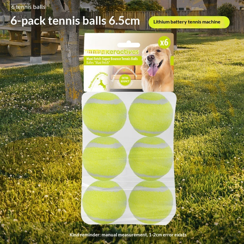 Automatischer Tennisballwerfer für Hunde