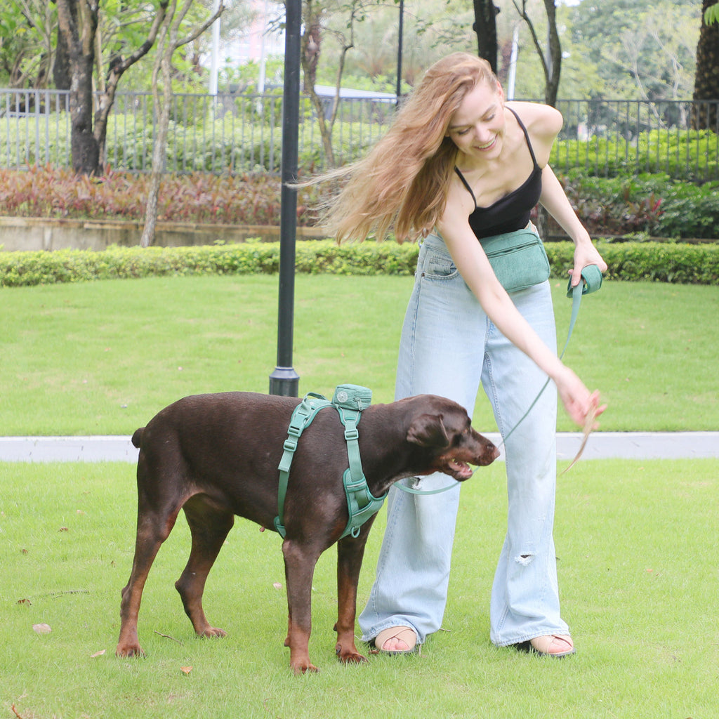 Hunde-Rucksack für Brust und Rücken – Bild 1 | LuxeStyle