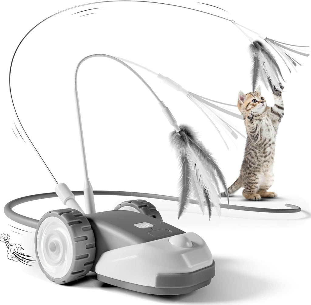Elektrisches Katzenspielzeug