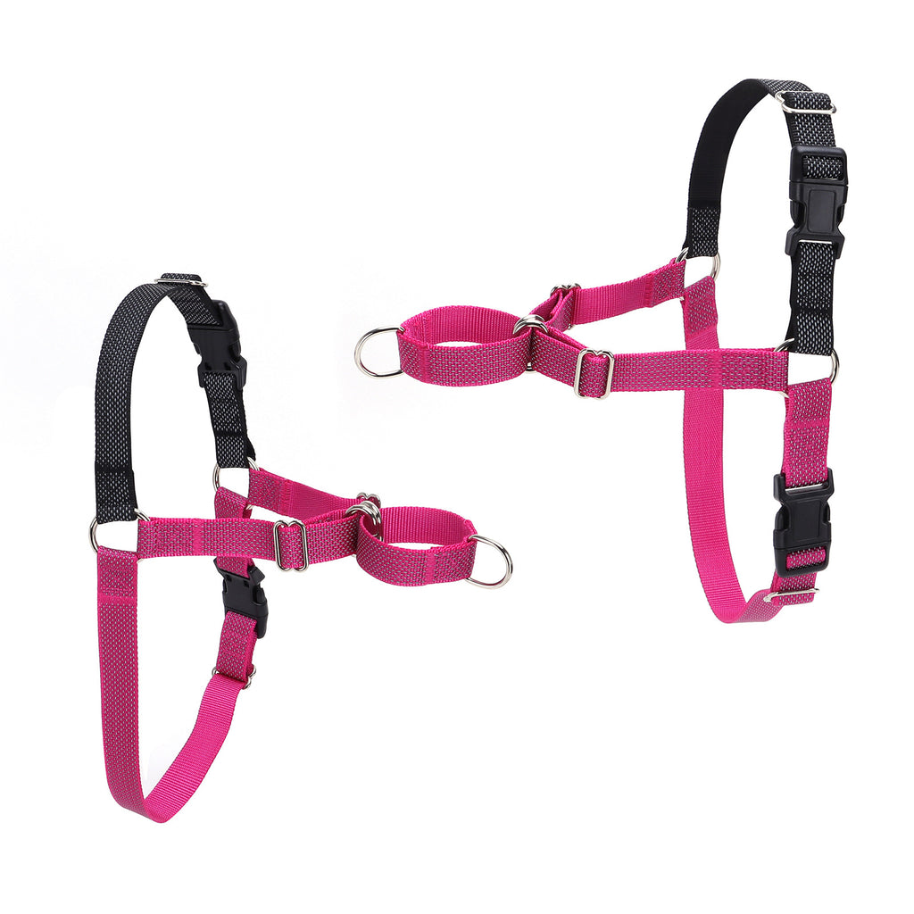 Reflektierendes Hunde-Trainingsgeschirr | LuxeStyle