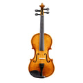 Akustische 1/4 Violine mit Zubehör – Bild 1 | LuxeStyle