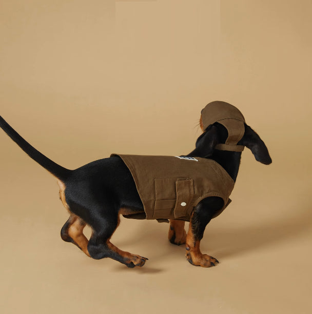 Hundeweste – Sportlicher Look – Bild 4 | LuxeStyle