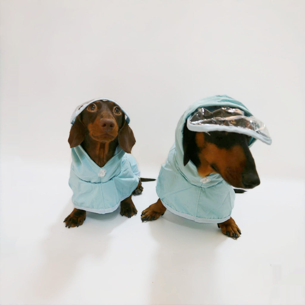 Wasserdichter Regenponcho mit Kapuze für Hunde