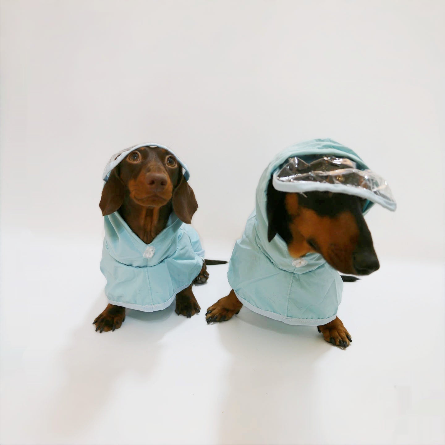 Wasserdichter Regenponcho mit Kapuze für Hunde