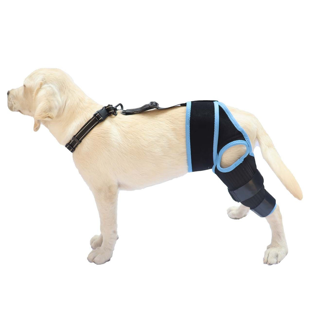 Kniebandage für Hunde