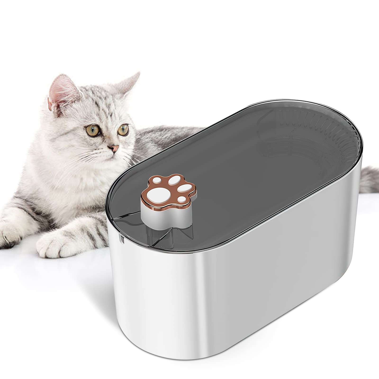 3L Trinkbrunnen für Katzen & kleine Hunde