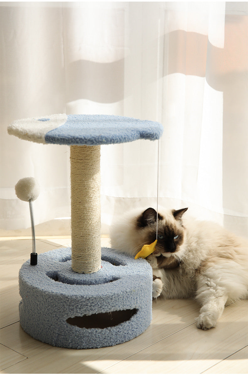 Kratzbaum für Kätzchen und kleine Katzen