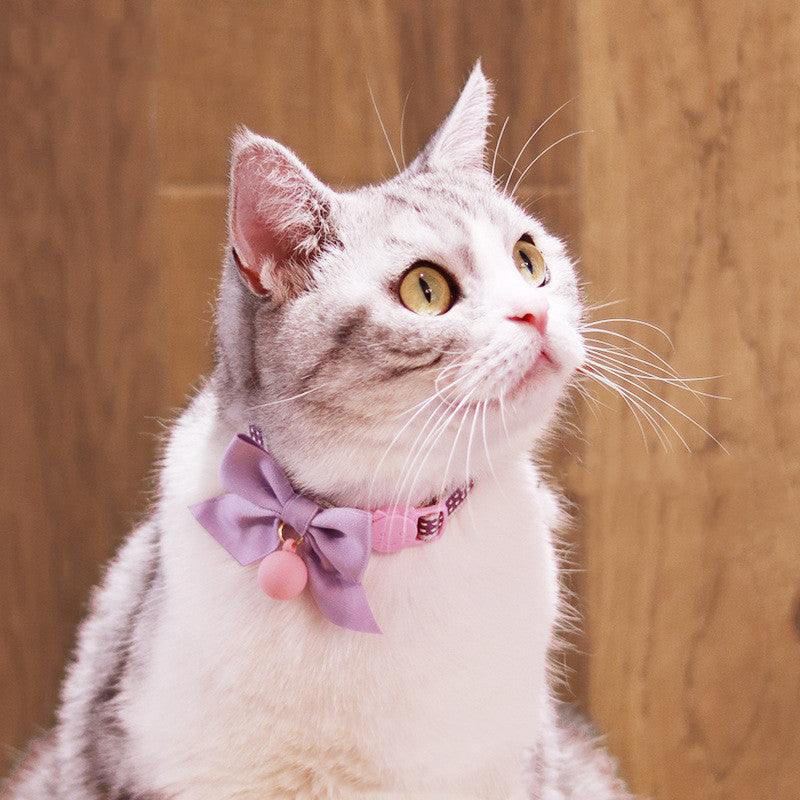 Hübsche Katzen-Fliege mit Glöckchen – Bild 2 | LuxeStyle
