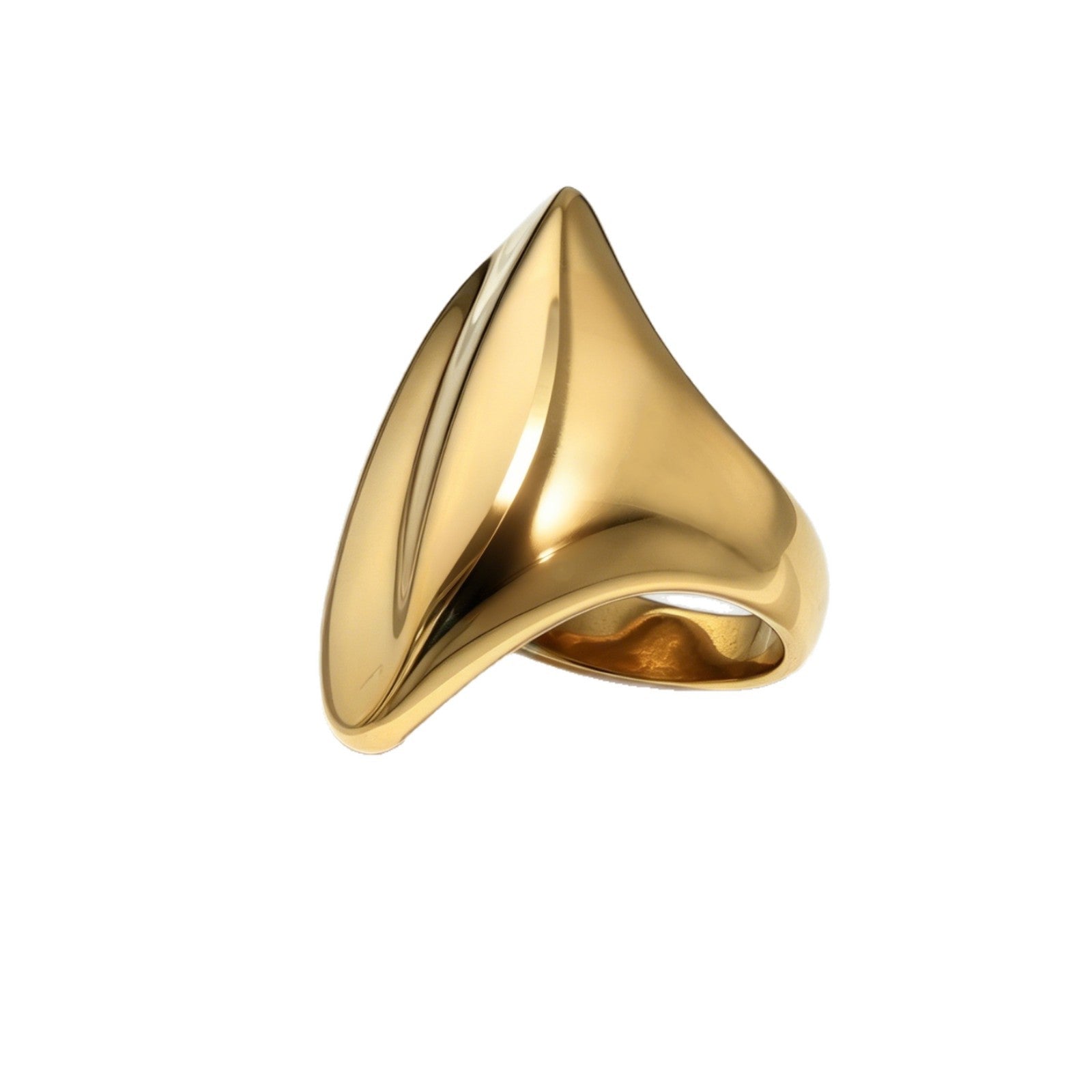 Ring «Streamlined Arc» aus poliertem Edelstahl