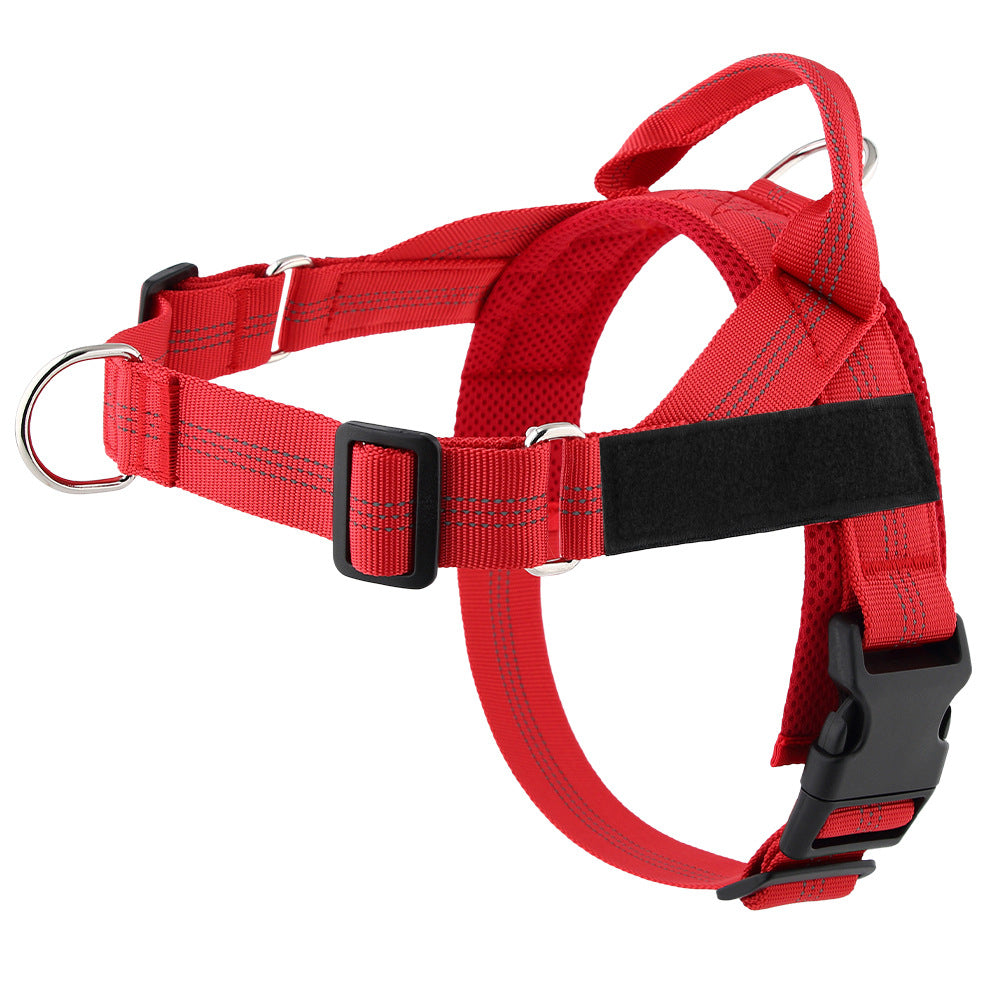 Leichtes Hundegeschirr mit Leine