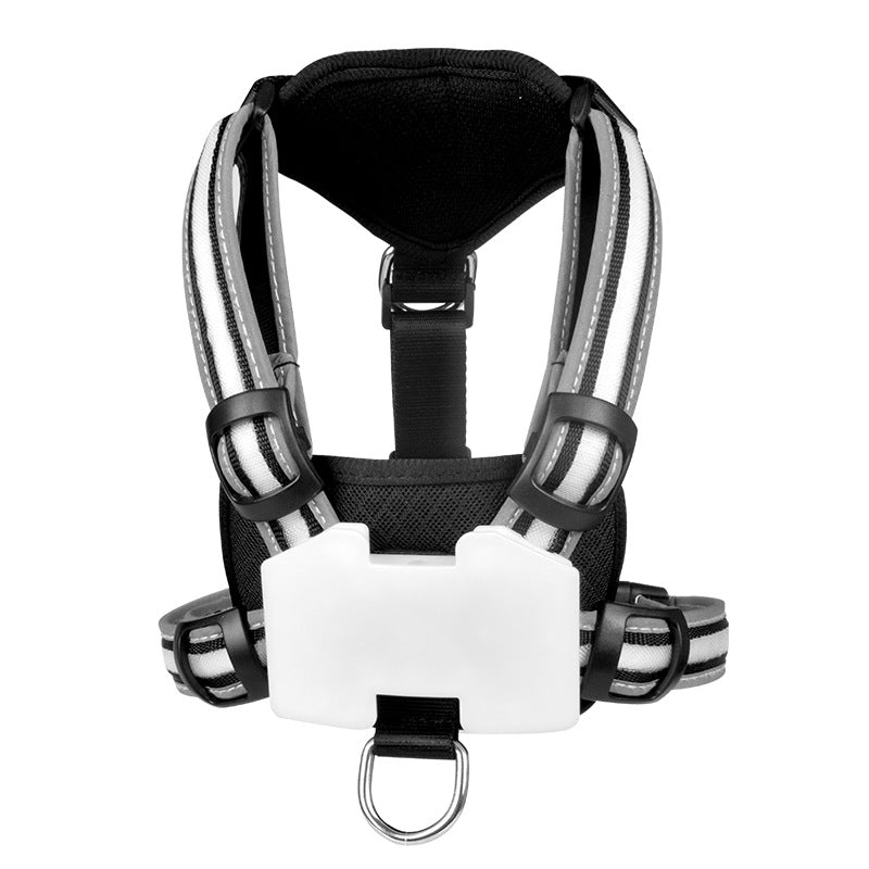 Leuchtfühlerkette für Hunde mit Ladekabel