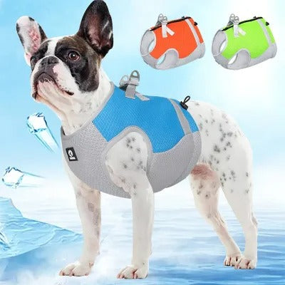 Kühlendes Hundegeschirr | LuxeStyle