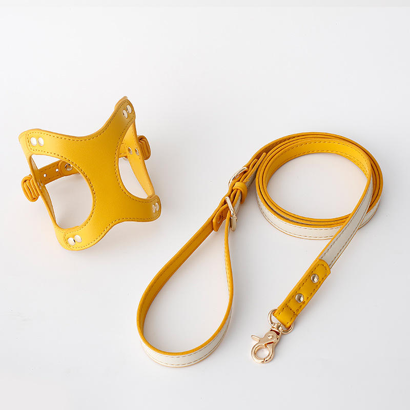 Fashion Brustgeschirr mit Leine für Hunde – Bild 6 | LuxeStyle