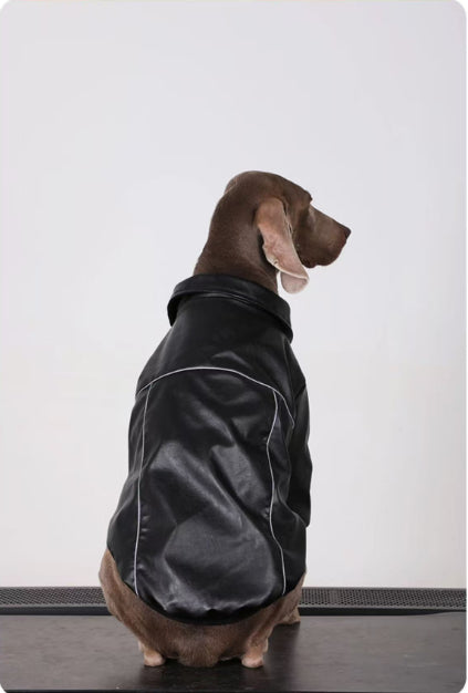 Lederjacke für mittelgrosse bis grosse Hunde