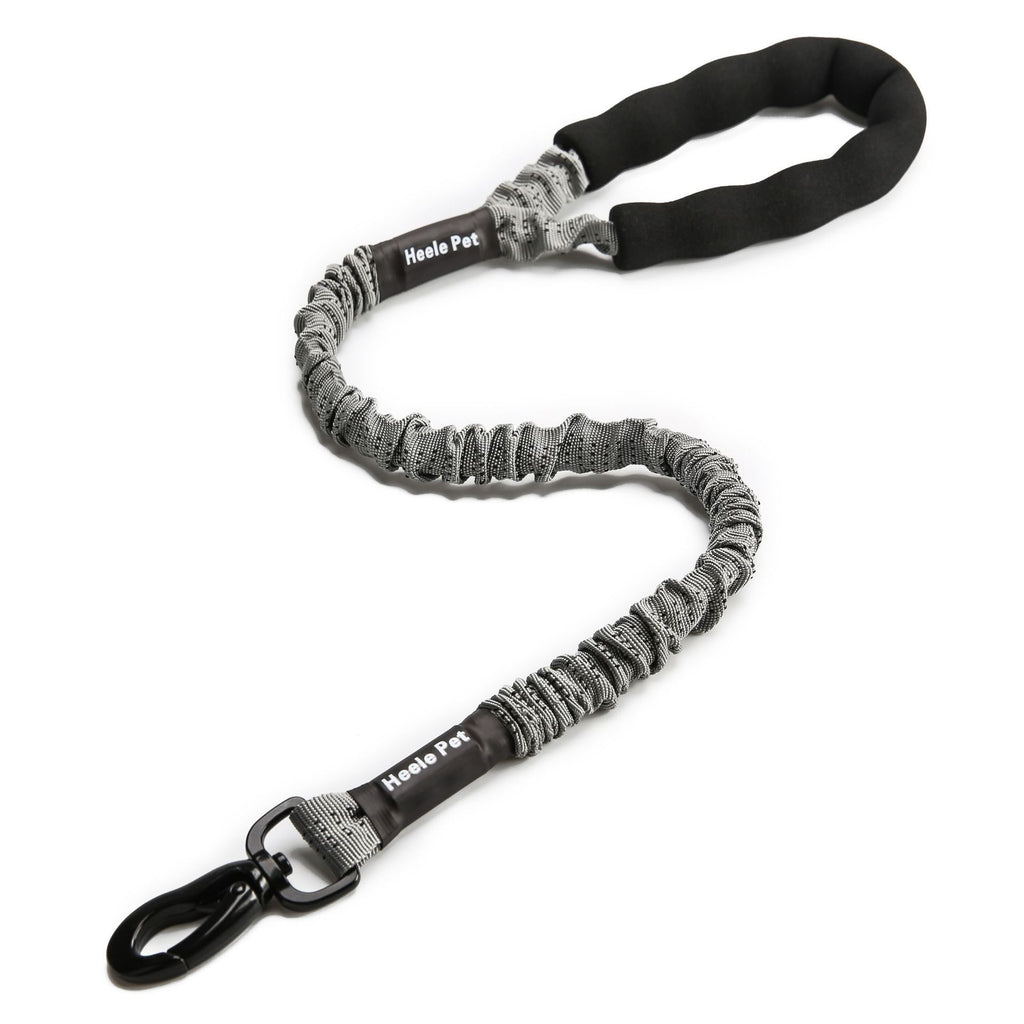 Elastische Hunde-Leine mit Ruckdämpfer – Bild 2 | LuxeStyle
