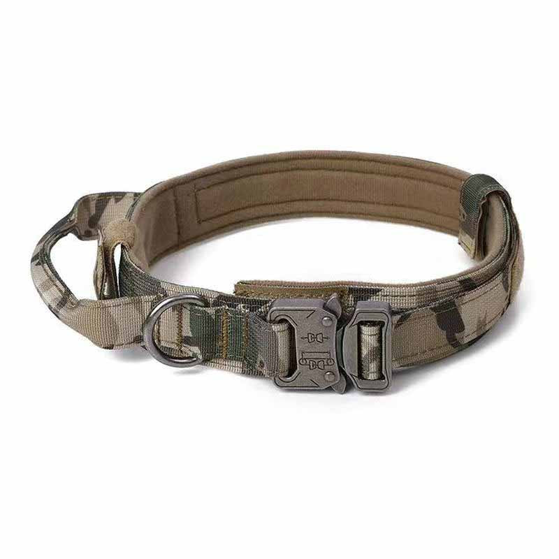 Hundekragen mit Stahlbügel – Bild 1 | LuxeStyle