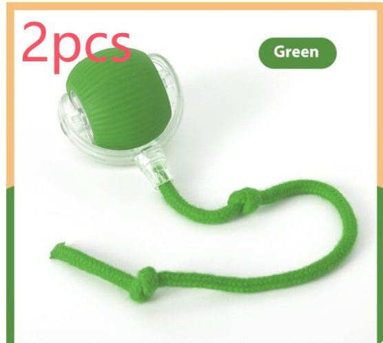 Automatischer Katzenspielball