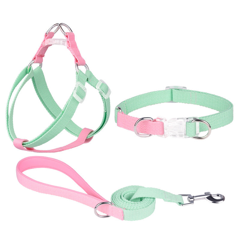 Polyester-Halsband mit Leine und Geschirr – Bild 3 | LuxeStyle