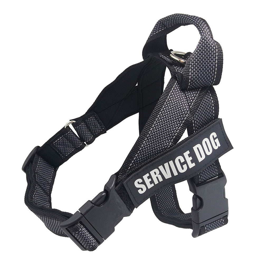Hunde-Brustgeschirr mit Sicherheitsgurt | LuxeStyle