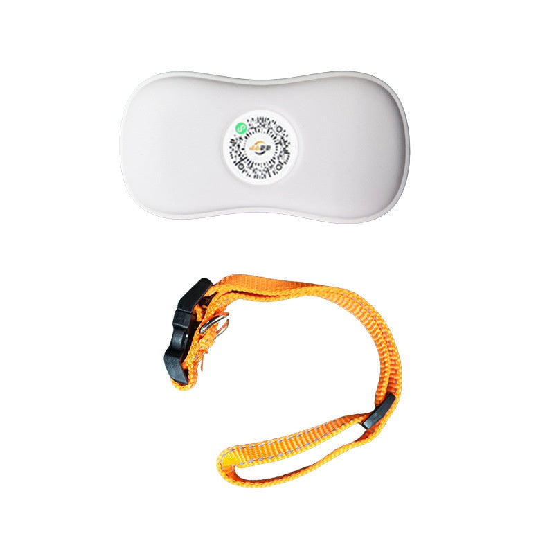 Katzenhalsband mit GPS