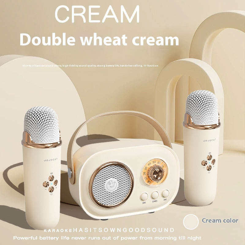 Portables Bluetooth Audio mit kabellosem Mikrofon