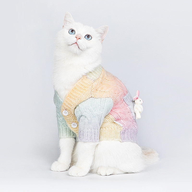 Bunter Strickpullover für Hunde – Bild 2 | LuxeStyle