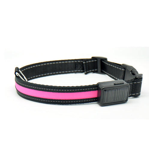 Leuchtendes Hundehalsband mit Solar- und USB-Ladefunktion – Bild 12 | LuxeStyle