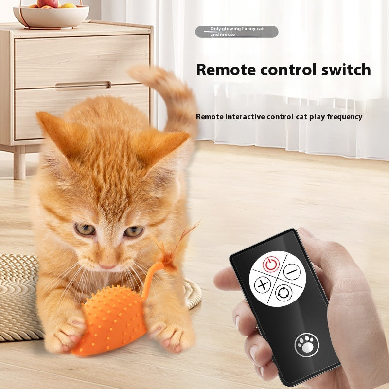Smarte Fernbedienung Maus für Katzen