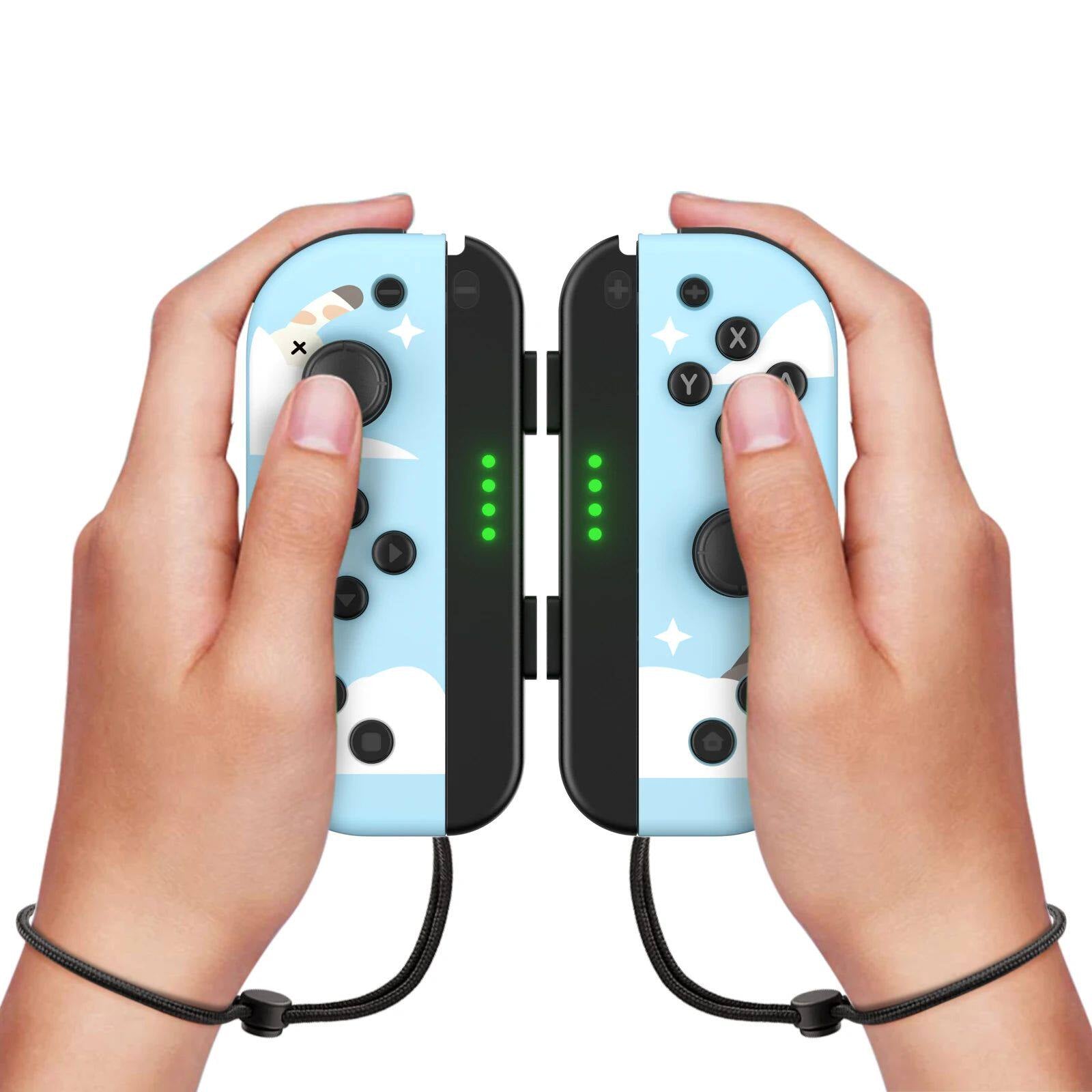 NS Dual Gamepad mit Handschlaufe
