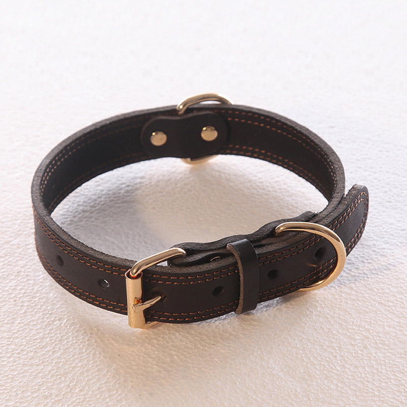 Lederverstärkter Hundehalsband – Bild 11 | LuxeStyle