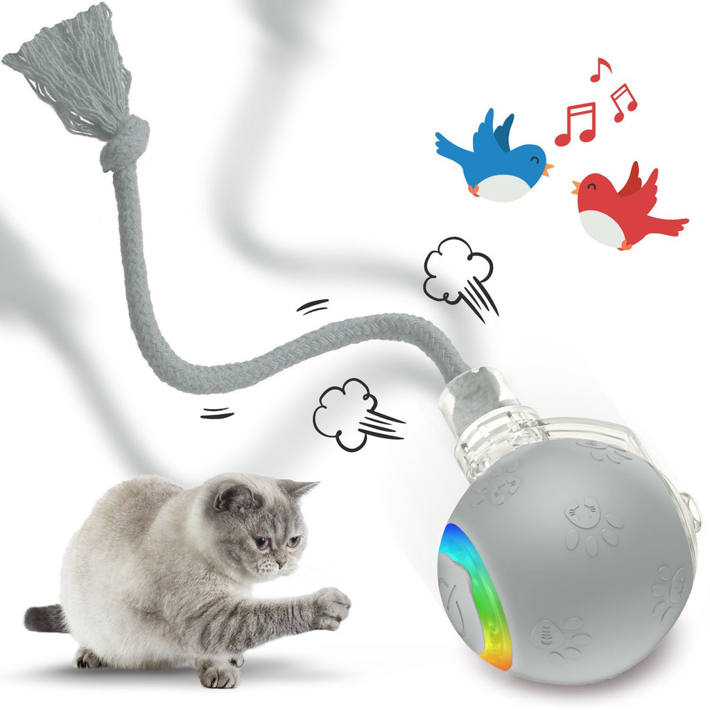 Interaktiver Spielball für Katzen