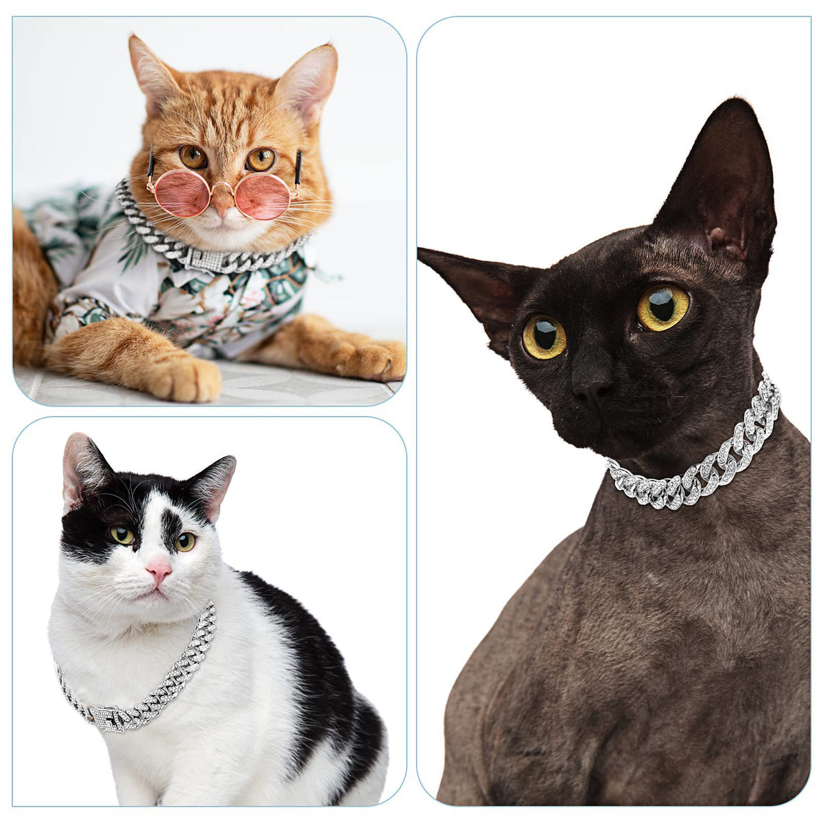 Diamant-Hundehalsband – Bild 2 | LuxeStyle