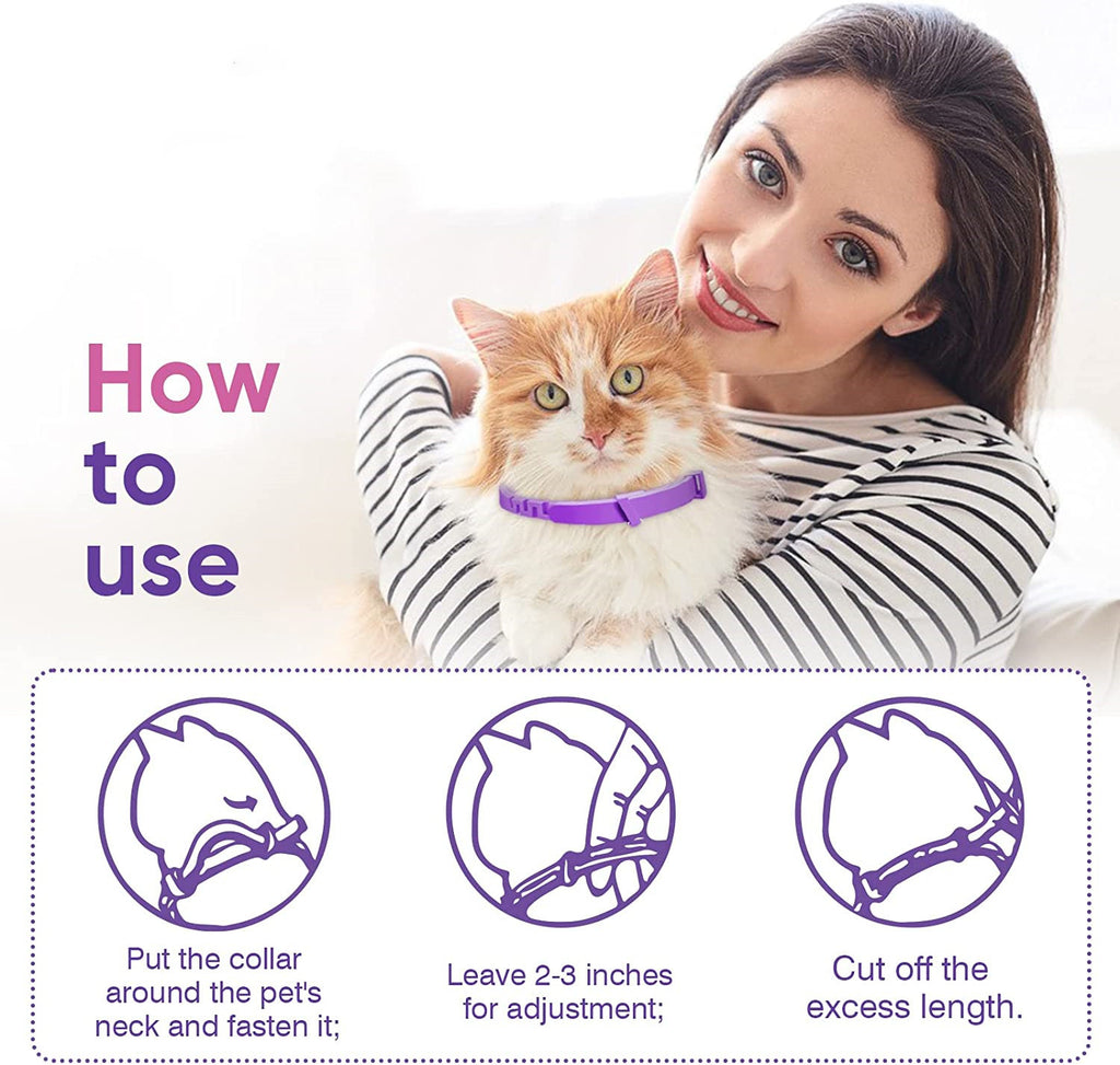Beruhigendes Halsband für Katzen – Bild 2 | LuxeStyle