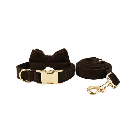 Samtiges Haustierhalsband mit Leine – Bild 6 | LuxeStyle
