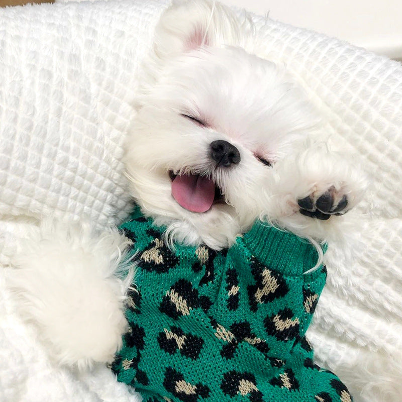Leoparden-Strickpullover für kleine Hunde – Bild 5 | LuxeStyle