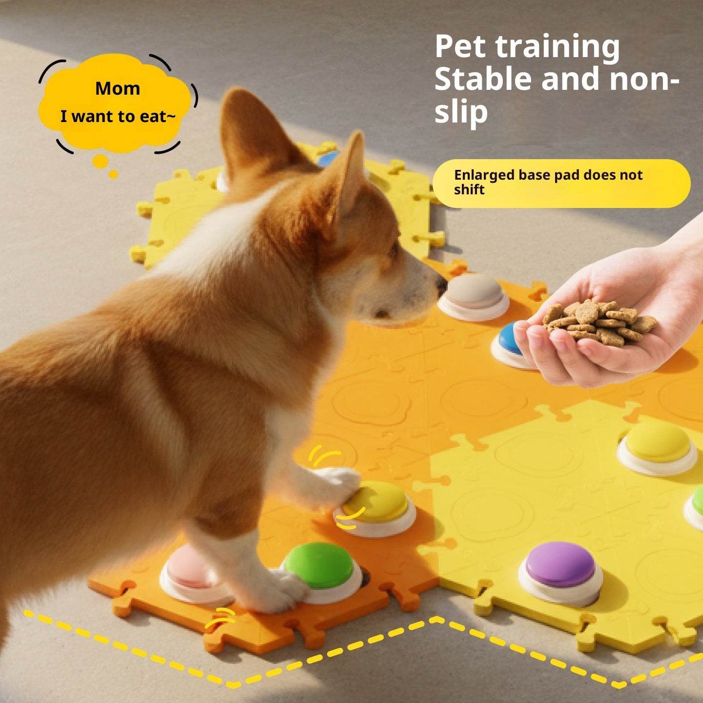 Sprechender Hunde-Trainingsknopf