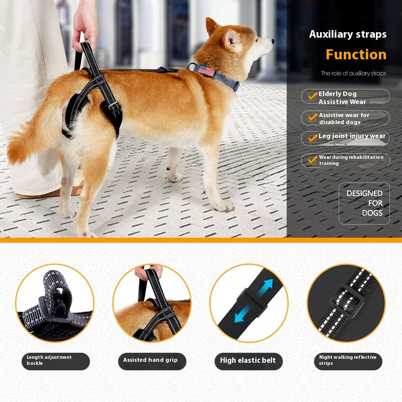 Reha-Gurt für Hinterbeine (Hund) – Bild 4 | LuxeStyle