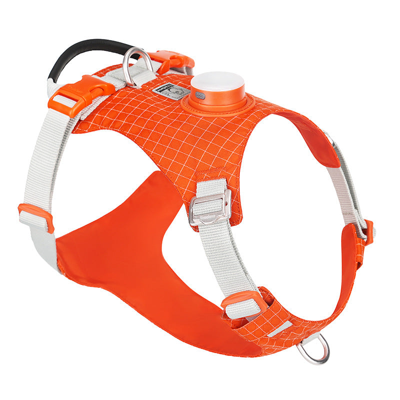 Hundegurt mit LED-Nachtlicht