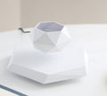 Schwebender Bonsai-Topf mit Magnet-Levitation – Bild 1 | LuxeStyle