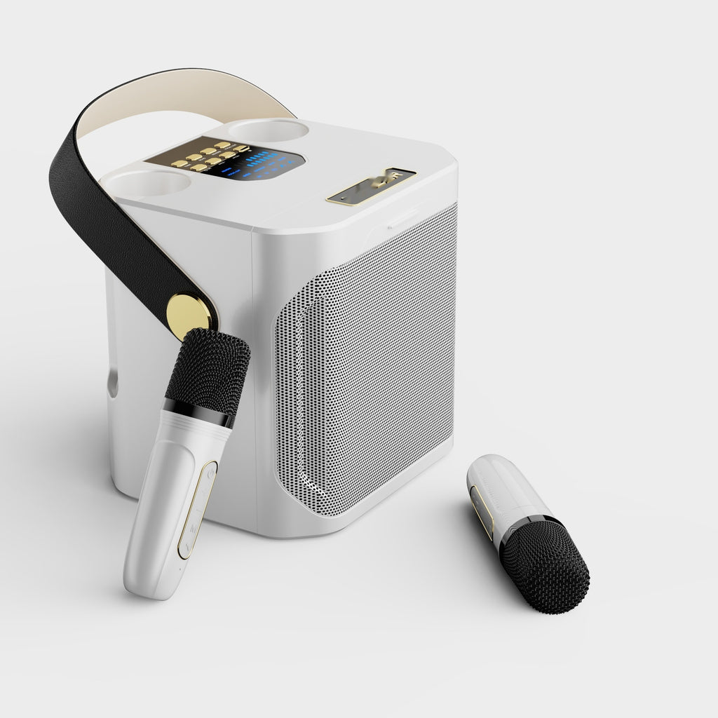 Bluetooth-Lautsprecher mit 2 Mikrofonen für Outdoor-Karaoke