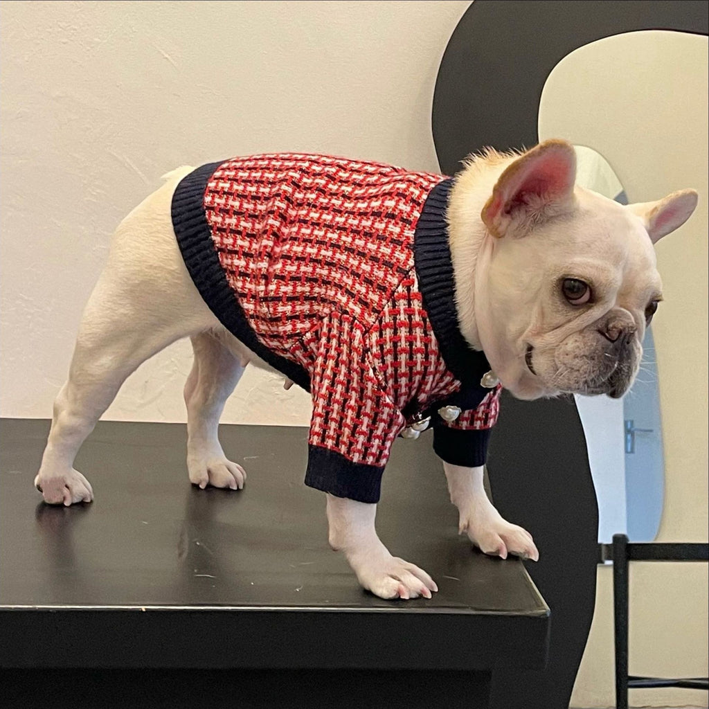 Wollpullover für Hunde – rote Freizeitmode – Bild 4 | LuxeStyle