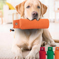 Personalisiertes Hundespielzeug