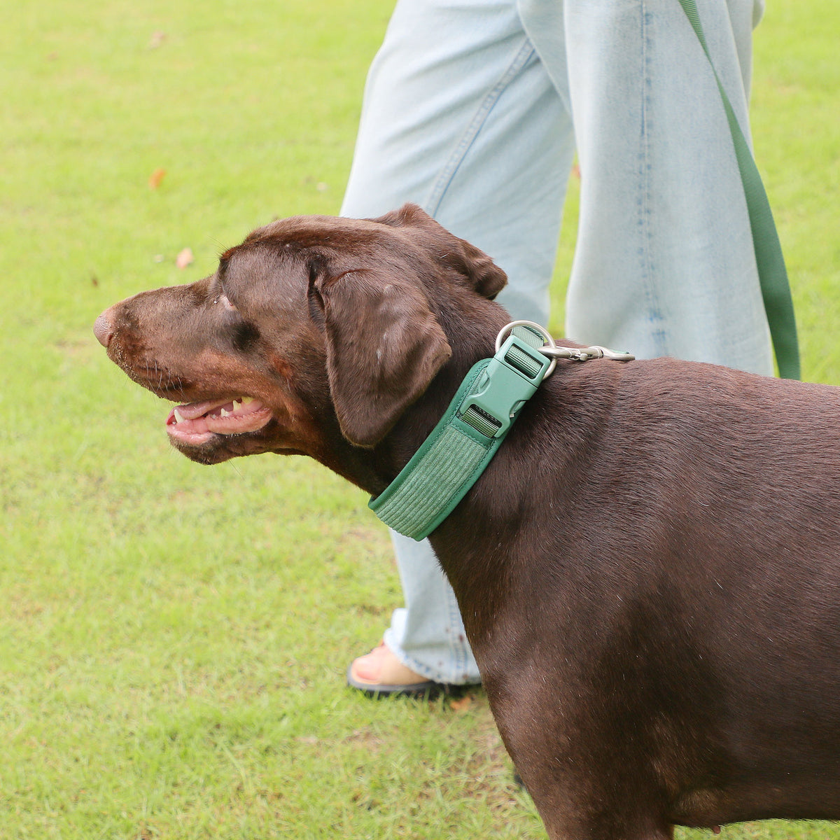 Hunde-Rucksack für Brust und Rücken – Bild 4 | LuxeStyle