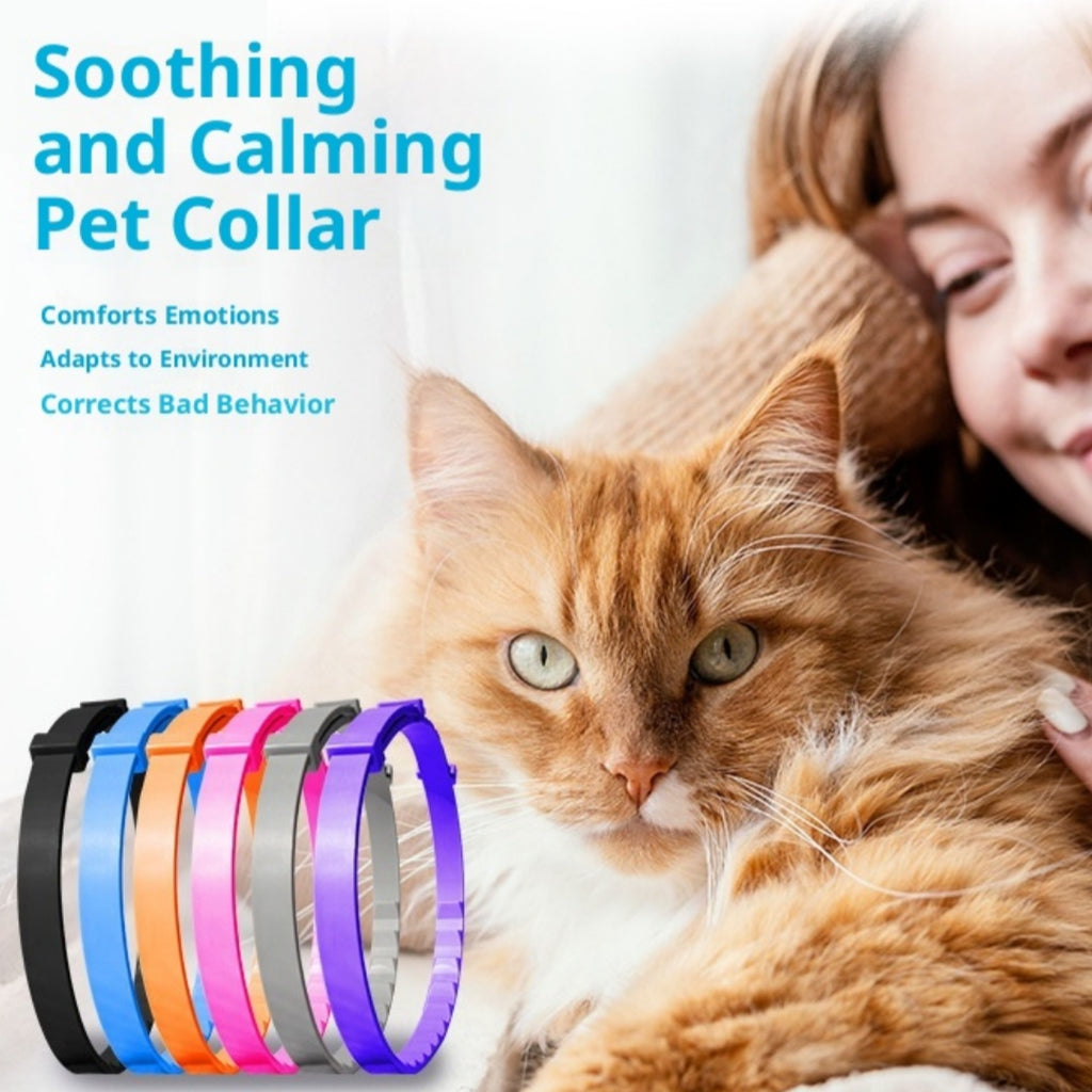 Pheromon Halsband für Haustiere, 3er-Pack