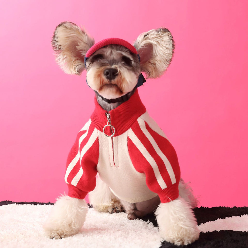 Hundepullover für Sport und Freizeit – Bild 4 | LuxeStyle