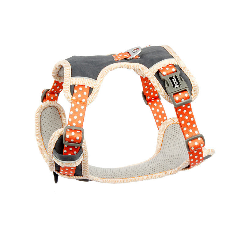 Hundegeschirr mit Leine für Spaziergänge | LuxeStyle